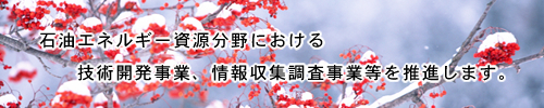 �g�b�v�C���[�W